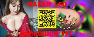 шишки Заволжье