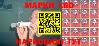 шишки Заволжье