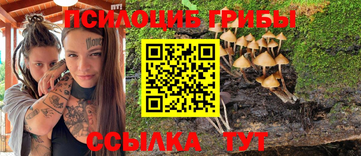 Псилоцибиновые грибы Magic Shrooms Кувандык