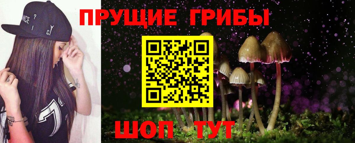 Псилоцибиновые грибы ЛСД  Вход с VPN  Кувандык  Галлюциногенные грибы прущие грибы 